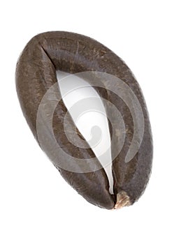 Black Pudding