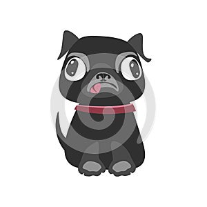 Black pug dog puppy. Vector illustration