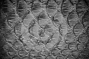 Black python leather, skin texture for background.