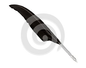 A black quill isolated on white