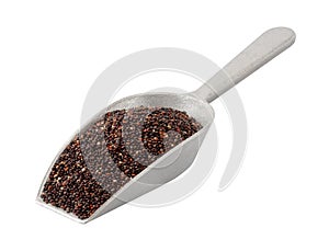 Black Quinoa in a Cast Aluminum Scoop