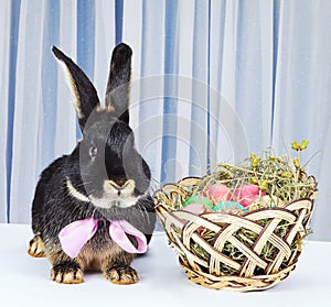 Black rabbit with a bow sitting near a basket with Easter eggs