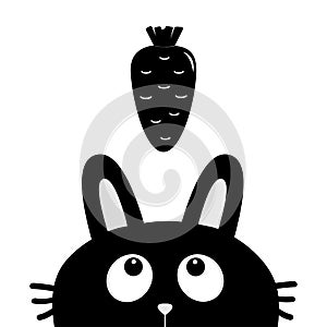 Black rabbit bunny face head silhouette looking up to carrot vegetable. Cute cartoon funny character. Kawaii animal. Baby card. St