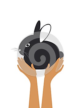 Black rabbit in caring hands. Symbol of 2023. Cute illustration isolated on white background.