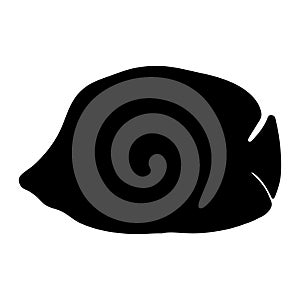 Black Raccoon Butterflyfish silhouette