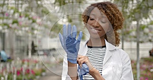 Black race researcher putting blue latex medical gloves on