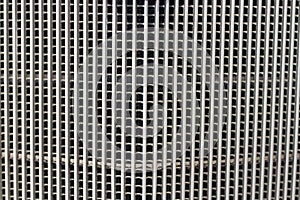 Black radiator grille. Grid of car close-up, texture and background