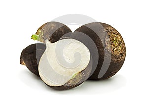 Black radish vegetable root