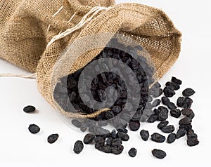 Black raisins photo