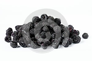 Black raspberries on white