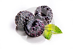 Black raspberry with leaf isolated on white