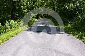 Black rat snake on path in forest or woods