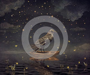 Black Raven in a boat at the river magical night