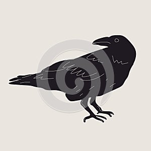 Black Raven or Crow bird. Side view. Cartoon style, flat design