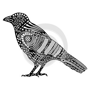 Black raven silhouette