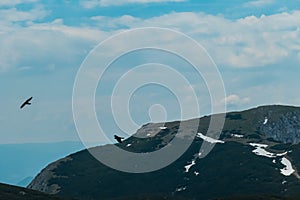 Petzen - Black ravens flying on top of Feistritzer Spitze (Hochpetzen) with scenic view of majestic mountain peaks Karawanks photo