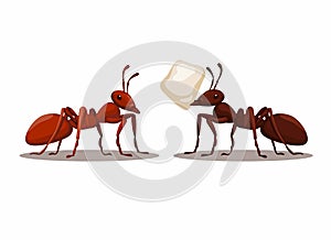 Black and Red Ant animal character cartoon illustration vector