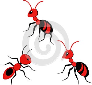 Black and Red Ant Vector Illustration