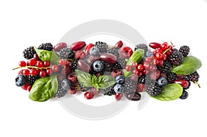 Black and red berries isolated on white. Ripe blackberries, blueberries, red currants, raspberries, cornels and basil leaves on wh