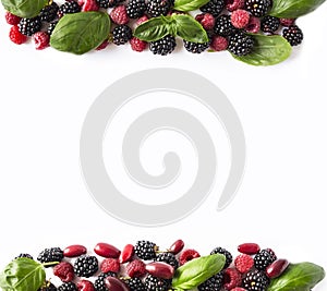 Black and red berries isolated on white. Ripe blackberries, raspberries, cornels and basil leaves on white background. Berries wit