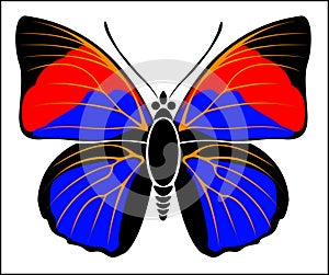 Black, Red and Blue colored Leafwing Butterfly