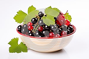 Black and red currant isolated on white background. Boost for immune system.