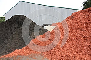 Black and Red Dye Mulch