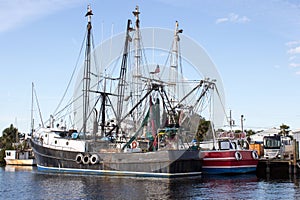 Black and Red Fishing Boats photo