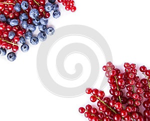 Black and red food on a white. Ripe blueberries and red currants on a white background. Mixed berries at border of image with copy