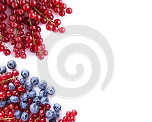 Black and red food on a white. Ripe blueberries and red currants on a white background. Mixed berries at border of image with copy