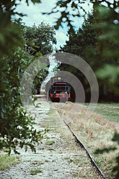 Black and red locomotive through green foliage