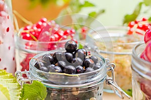 Black red white currants gooseberries cherries jars preparations