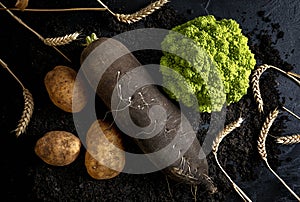 black redish, potato, wheat photo
