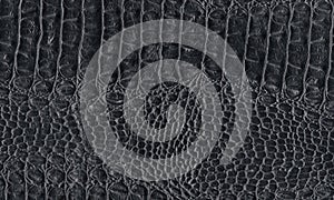 Black reptile natural leather texture. Snake, crocodile or dragon skin pattern photo