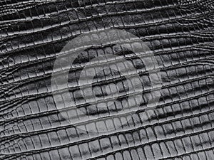 Black reptile skin leather texture background