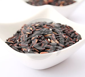 Black Rice