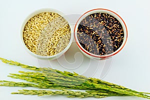 Black rice ,brown rice in cup and paddy rice