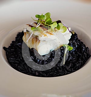 Black rice with cuttlefish and squid ink photo