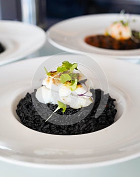 Black rice with cuttlefish and squid ink photo