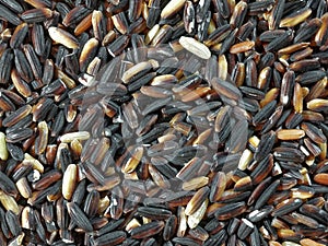 Black rice