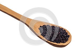 Black Rice. Grains over wooden spoon, isolated white background.