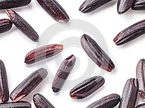 Black rice seamless pattern