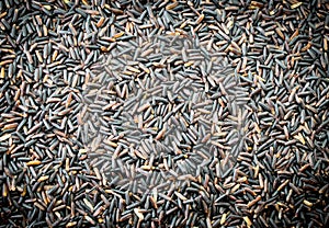 Black rice Thailand (Berry rice)
