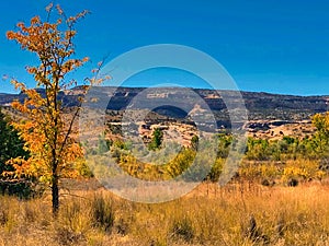 Black Ridge Canyons Wilderness in Early Fall