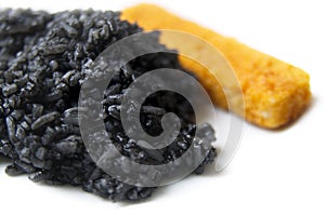 Black Rise And Orange Fish Stick