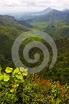 Black river mountain in mauritius