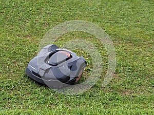 Black robot lawn mower works on a green meadow,