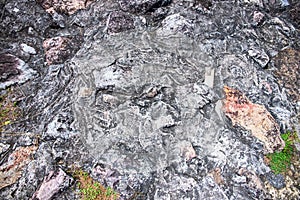 Black rock surface with green leaves. Volcanic lava stone top view. Natural material background. Solid foundation concept.