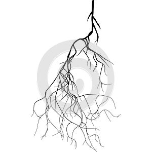 Black root system - vector set