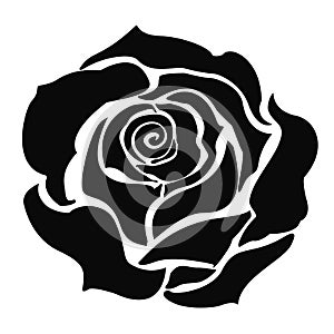 Black rose vector flower icon